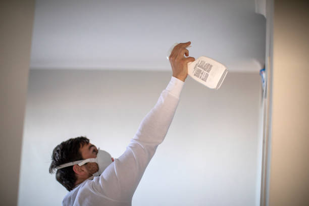 Best Residential Mold Removal  in Elk City, OK
