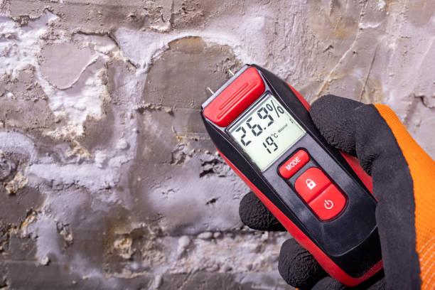 Best Office Mold Removal Services  in Elk City, OK