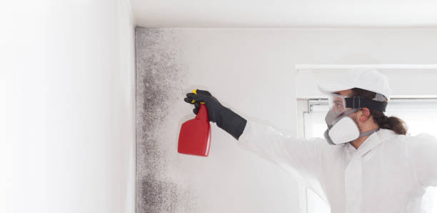 Best Mold Testing  in Elk City, OK