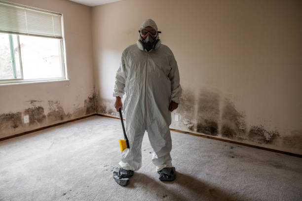 Best Emergency Mold Removal  in Elk City, OK