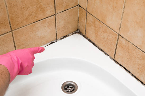Best Mold Testing  in Elk City, OK